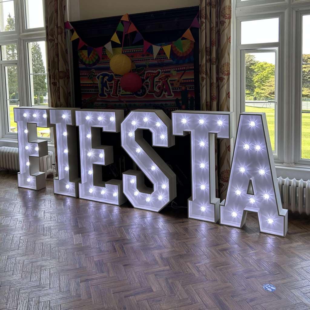 Large LED Light Up Letters and Numbers 1